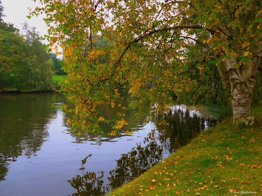 Hamburg. Alsterdorf - Nina Yudicheva