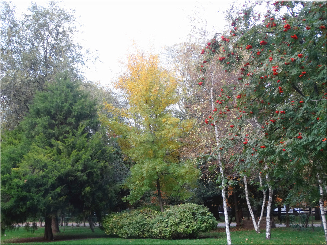 Осенние зарисовки в парке... - Тамара (st.tamara)