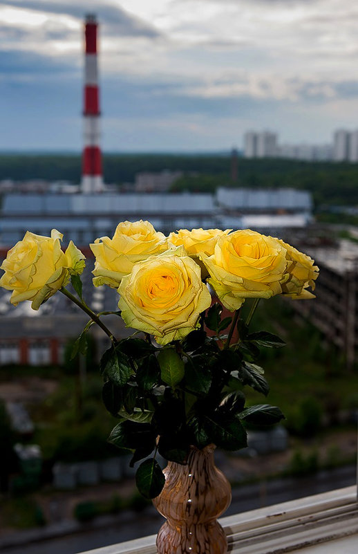 Главней всего погода в доме - Владимир Безбородов