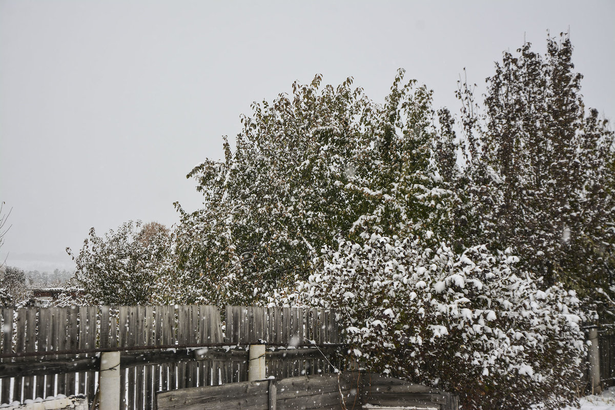Снегопад на даче - юрий Амосов