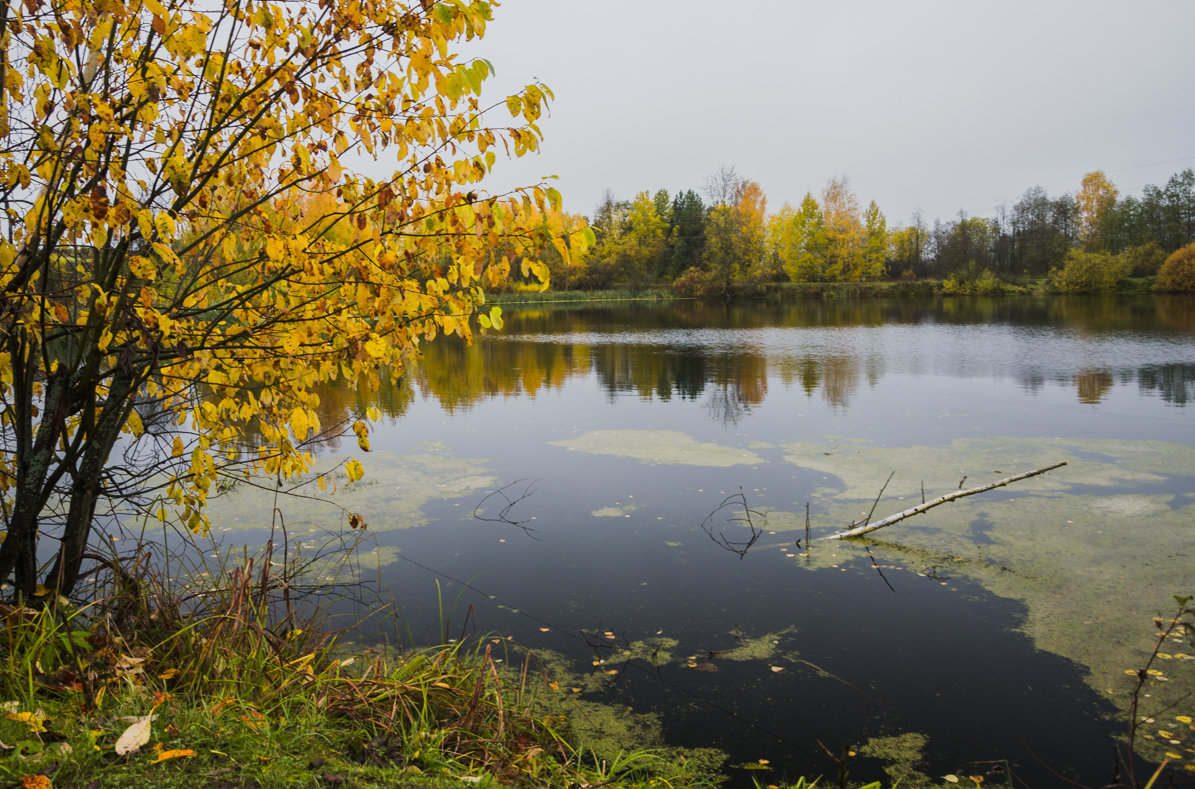 Осень на деревенском пруду - Валентин Котляров