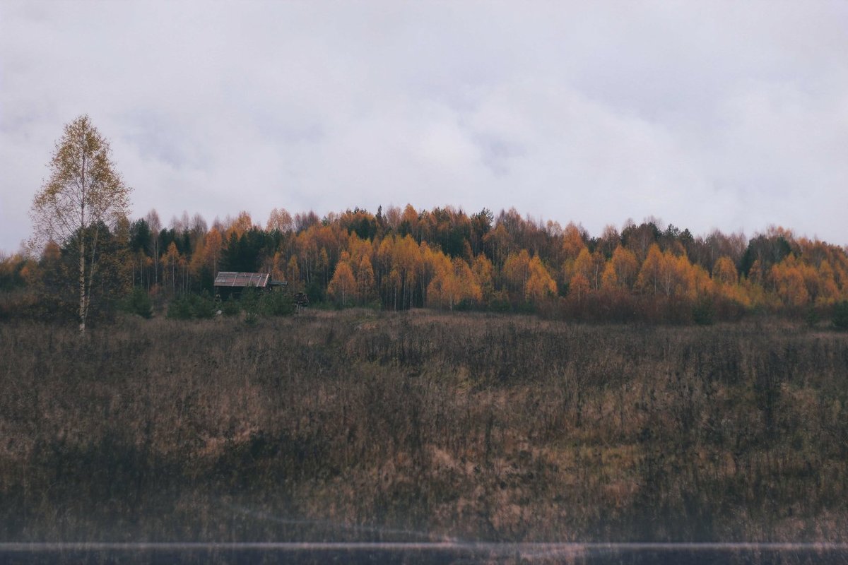 Осень - Сергей 