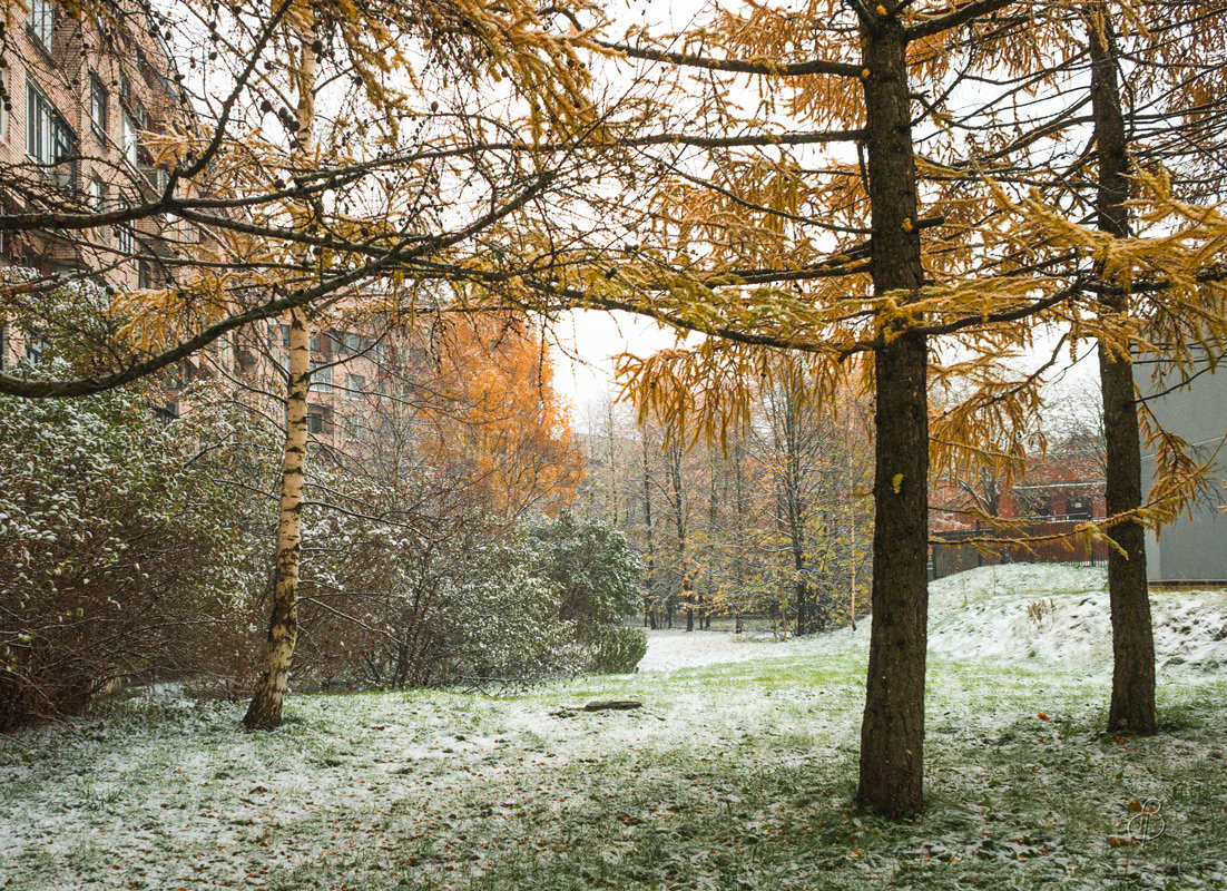 Снег в октябре 5 - Виталий 