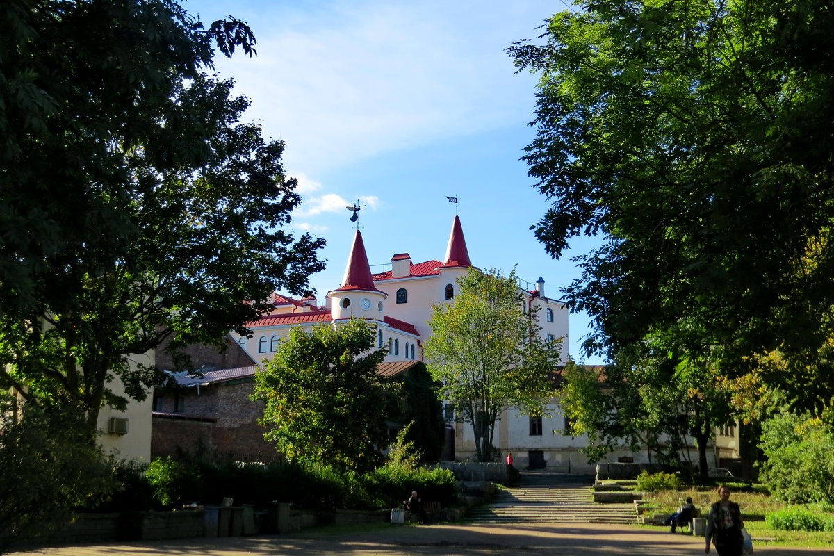 Старый город - Светлана Петошина