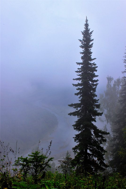 Туман на реке - Сергей Чиняев 