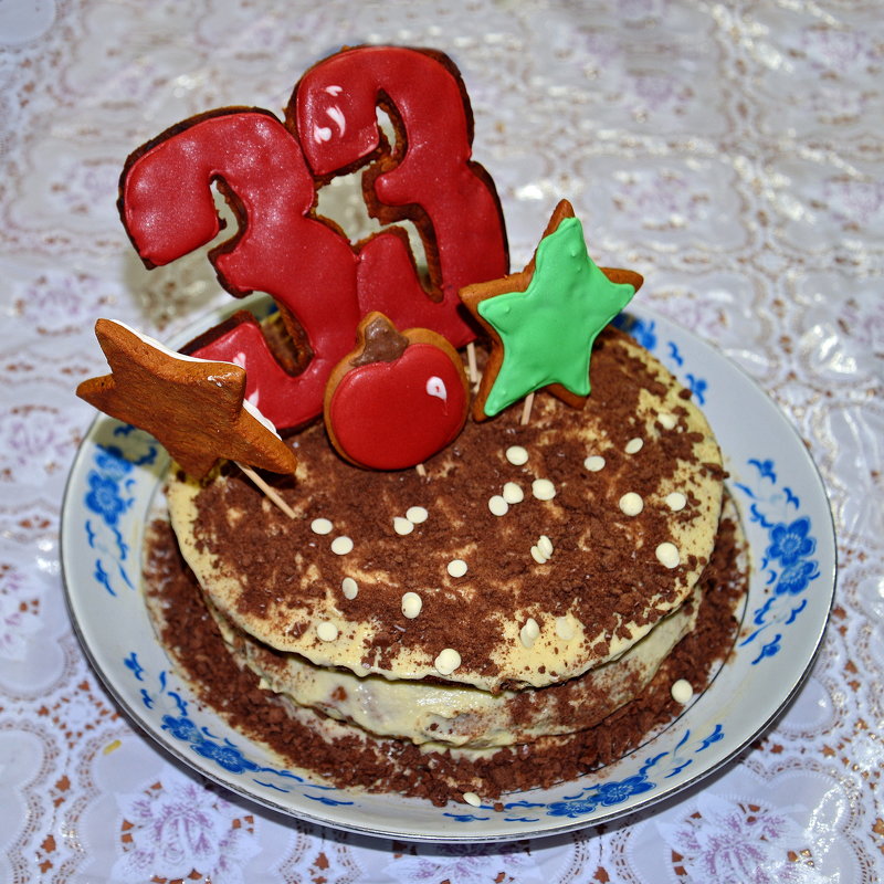 33 - Анатолий Чикчирный
