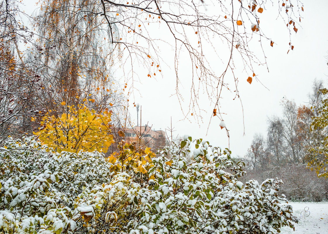 Снег в октябре 10 - Виталий 