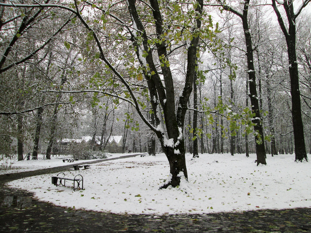 *** - Валентина Береснева