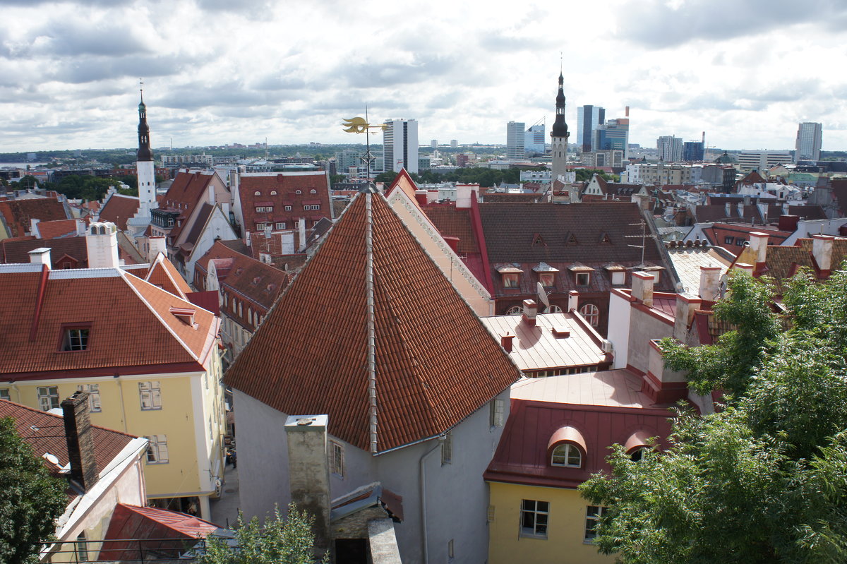 Панорама города, вид со смотровой площадки Кохтуотса - Елена Павлова (Смолова)
