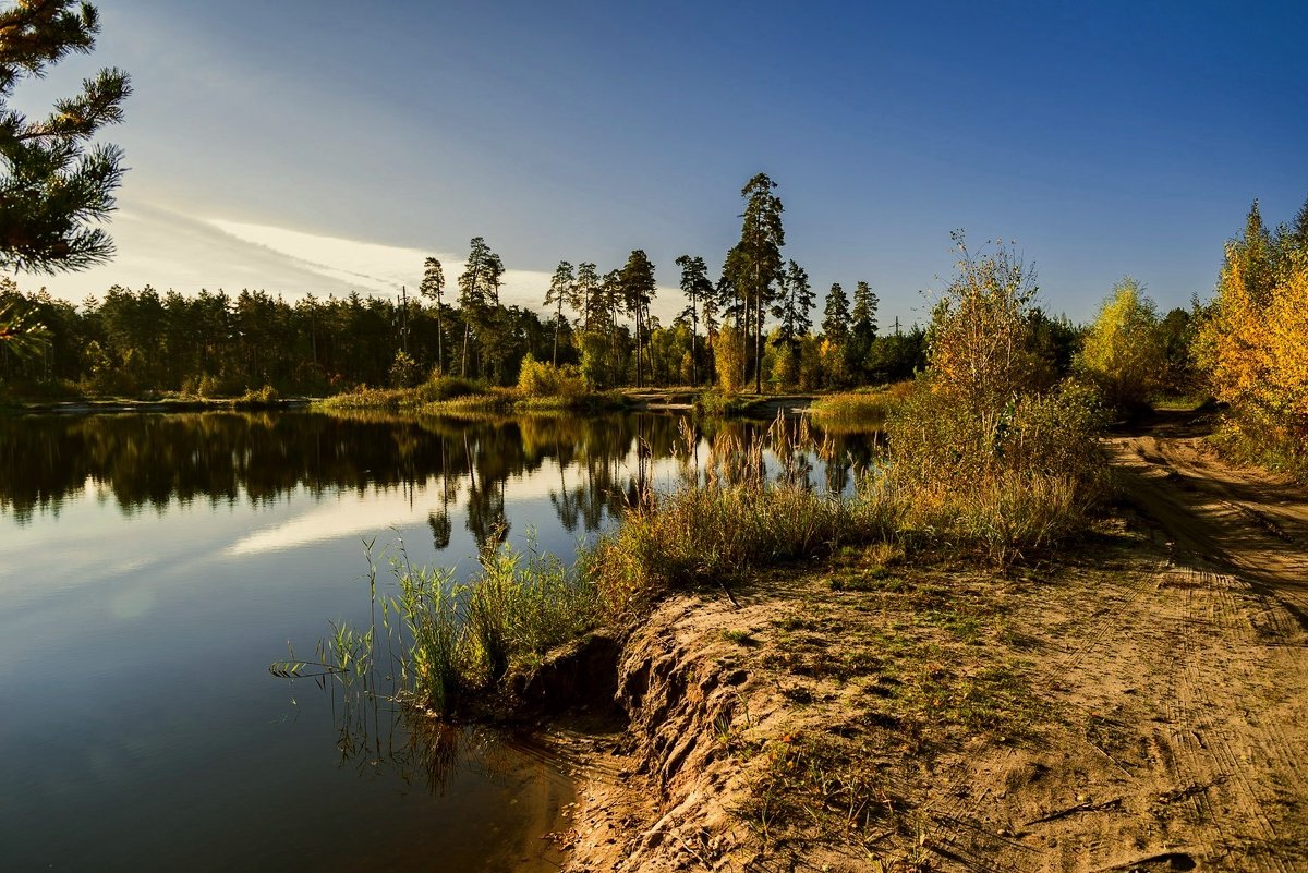 * - Александр Тулупов