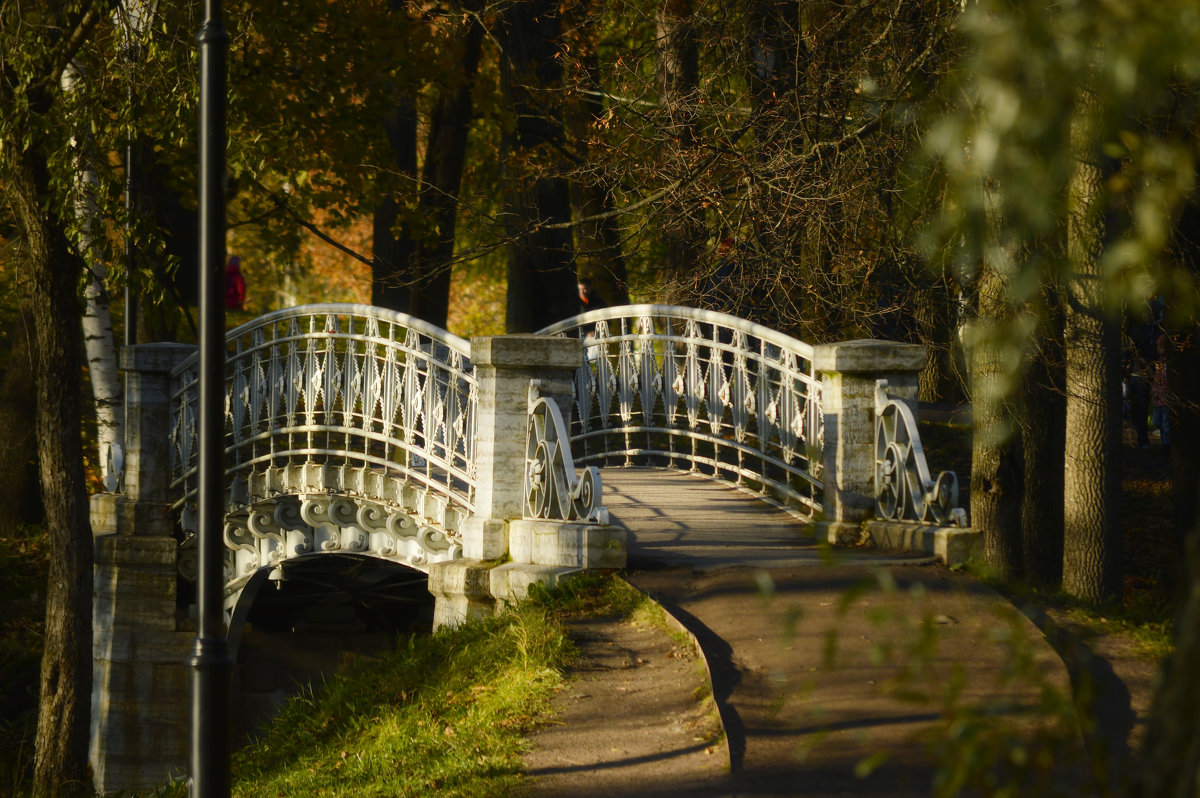 Дворцовый парк в Гатчине осенью
