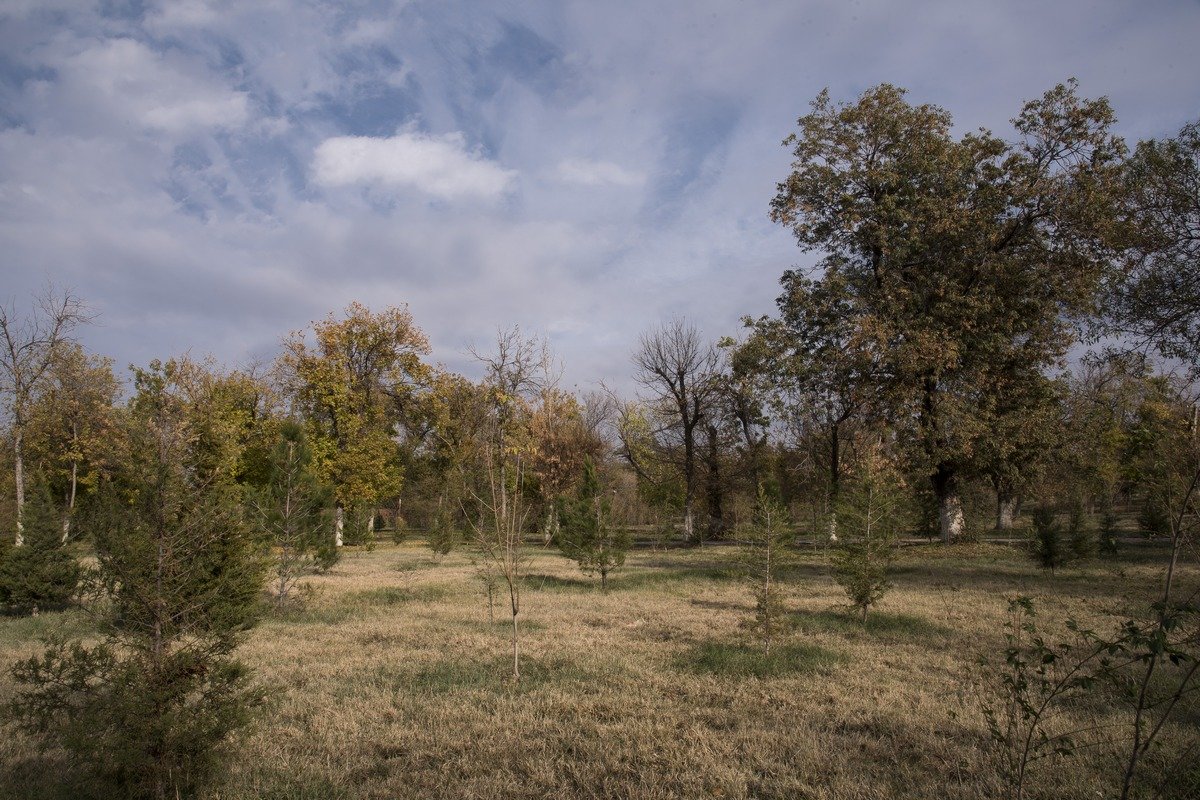 Осень в городе - Александр Грищенко