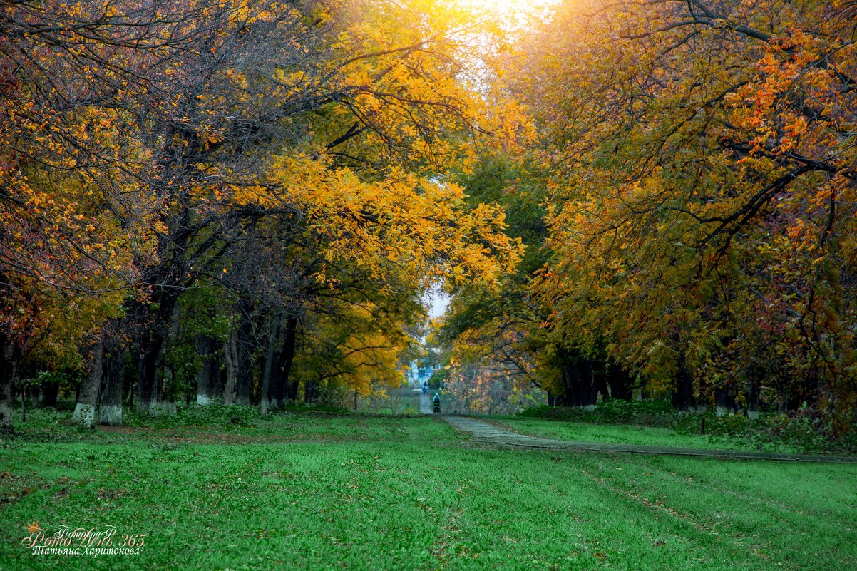 Осенний тихий вечер в парке... - Таня Харитонова