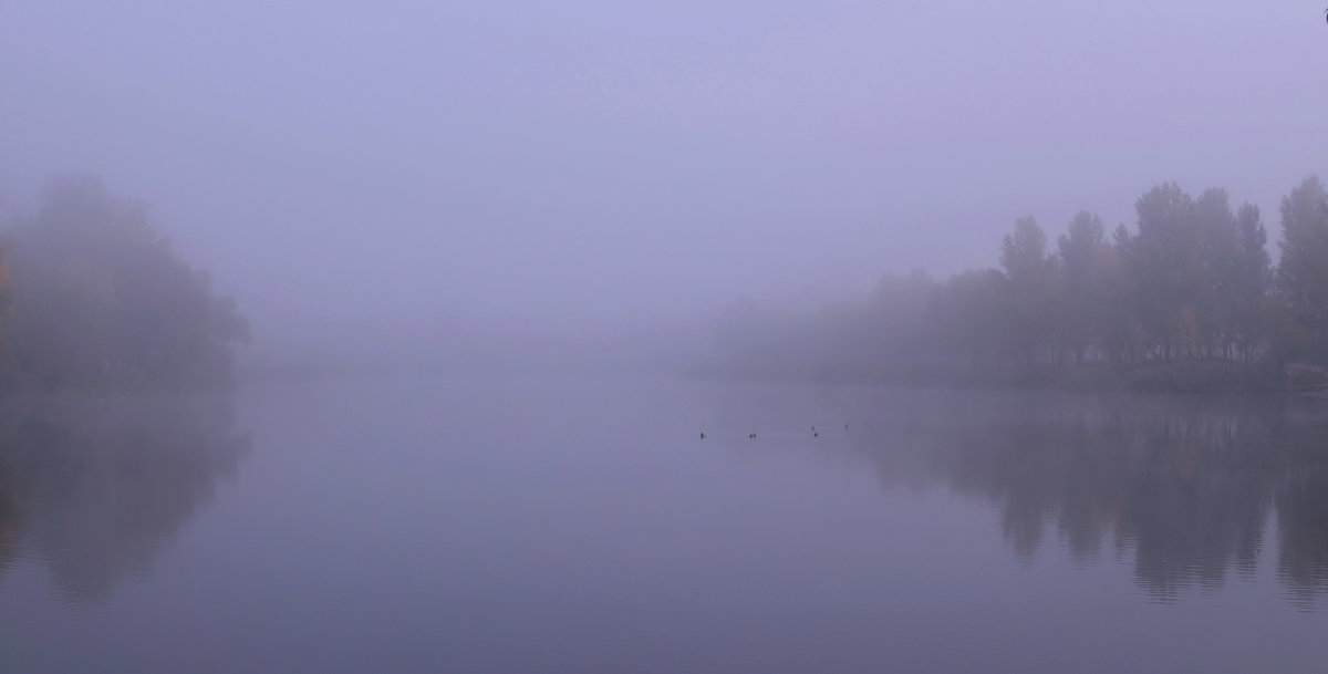 Туман над озером - Валентина Данилова