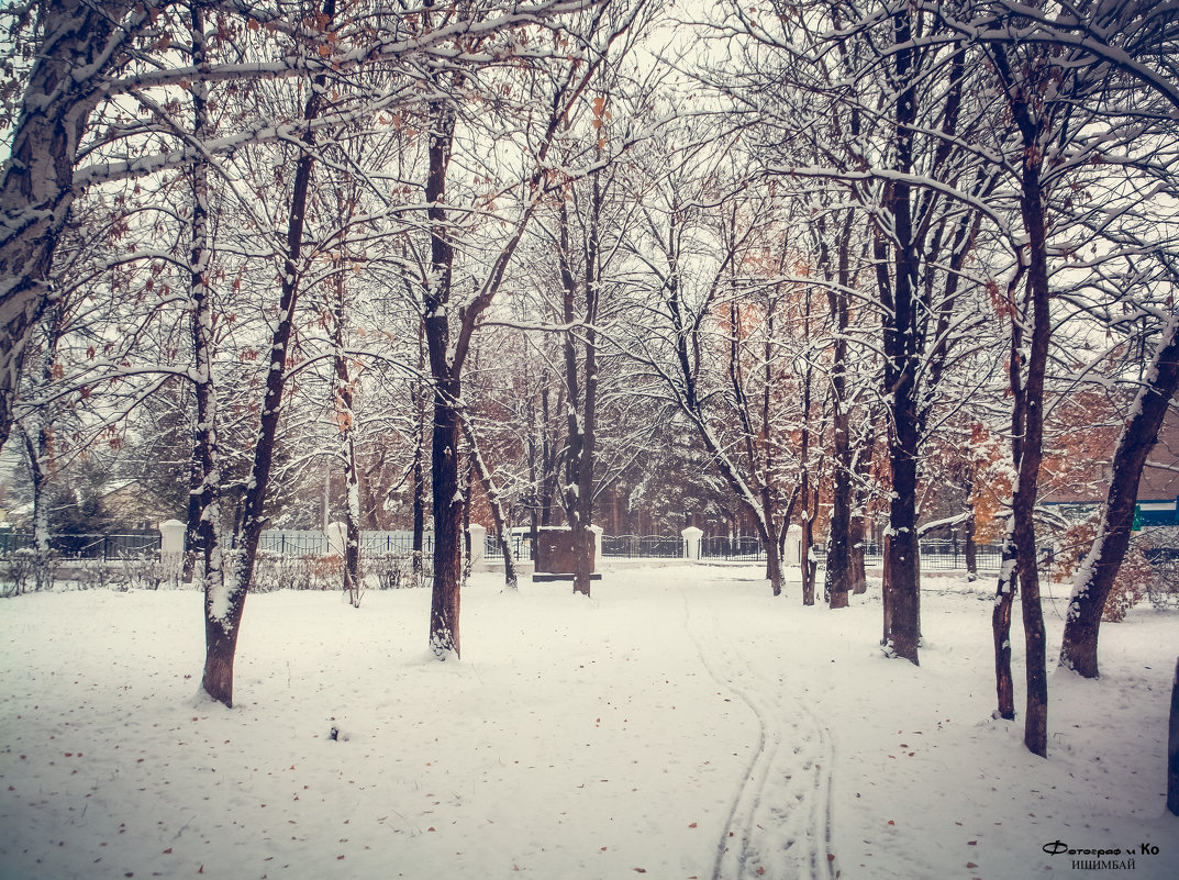 Снег в парке - Вячеслав Баширов
