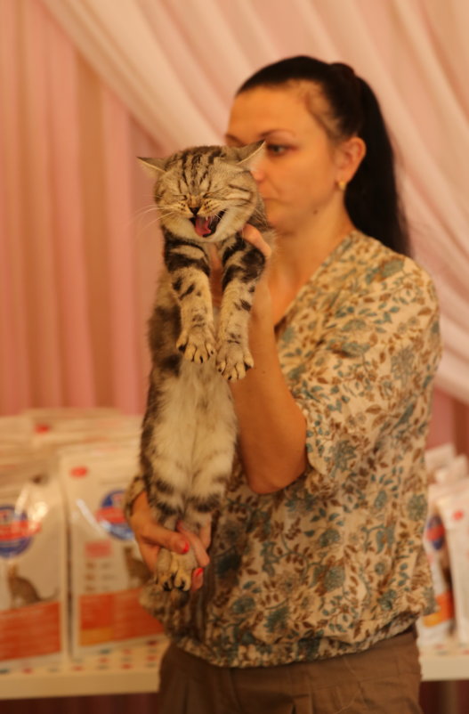 Выставка кошек - Игорь Смолин