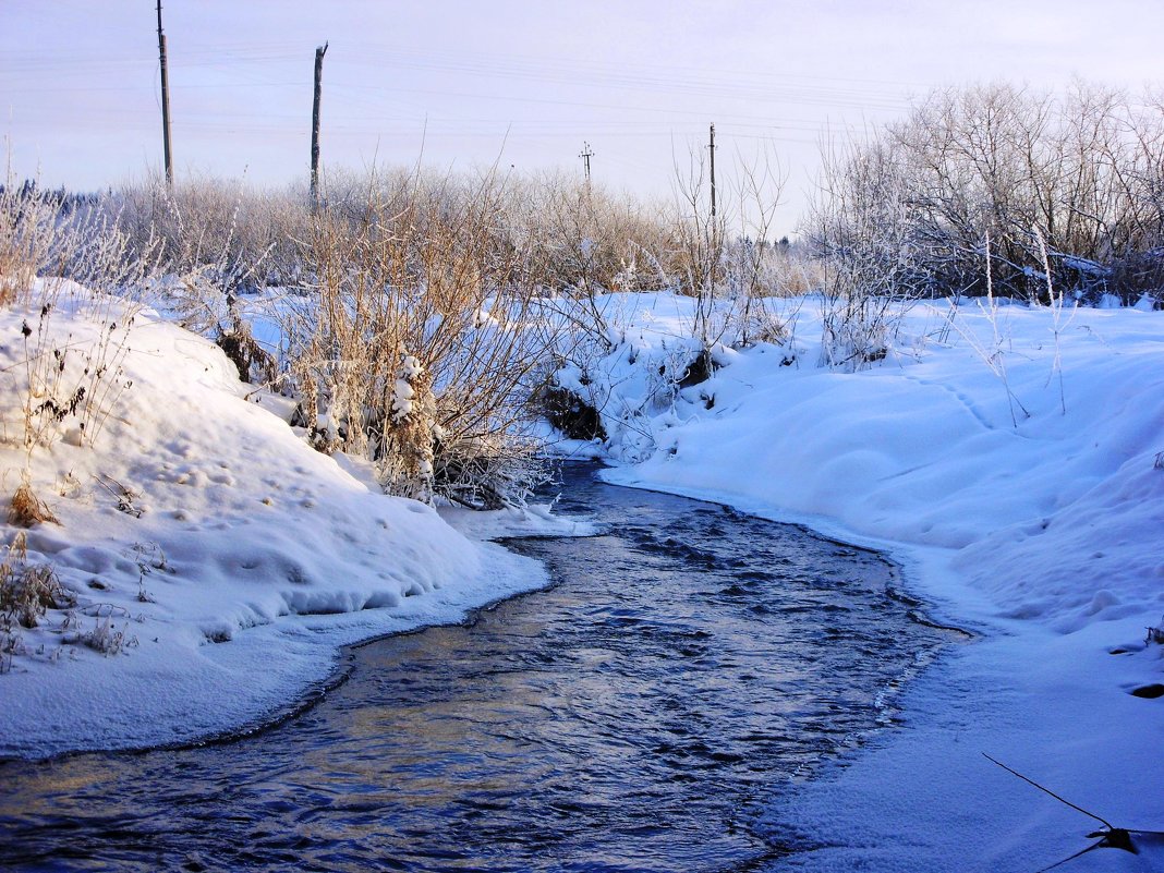 Зима у реки - Андрей .