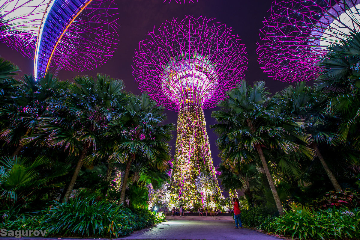 Футуристические сады. Сингапур - Dmitriy Sagurov 