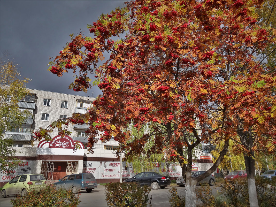 Осень в Вологде - Валерий Талашов