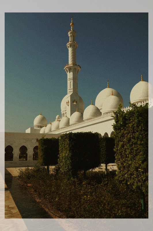 Мечеть шейха Зайеда в Абу-Даби. - Валентина Лазаренко