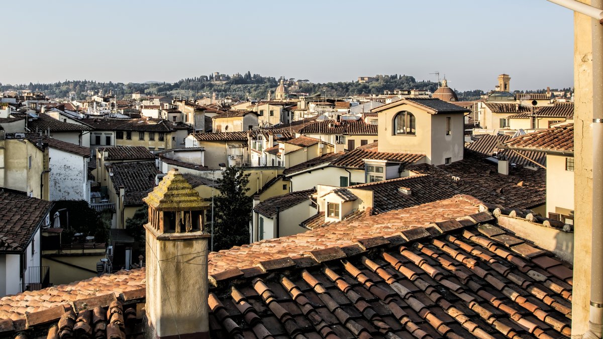 The view from the roof - Dmitry Ozersky