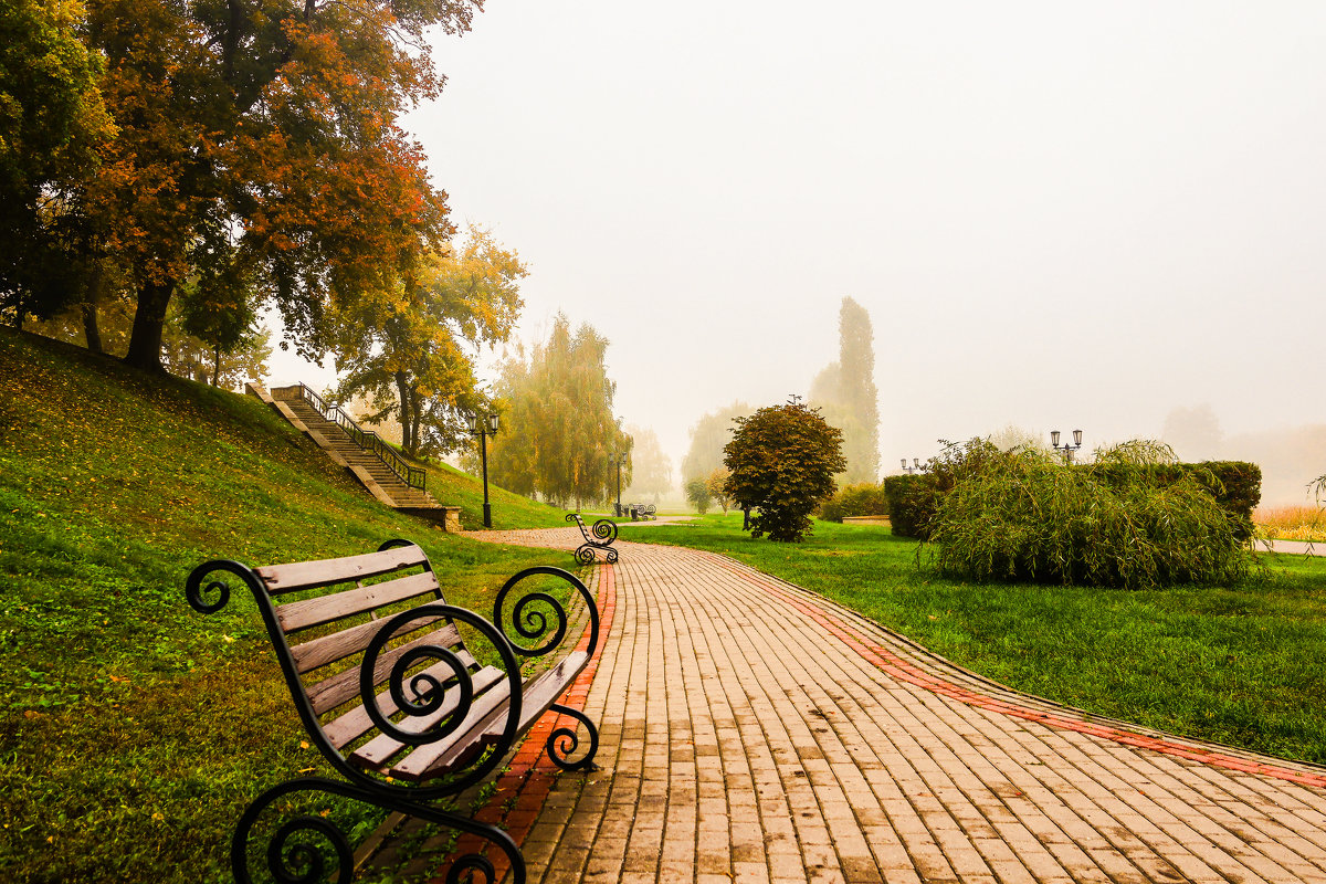 Осень.Туман................ - Александр Селезнев