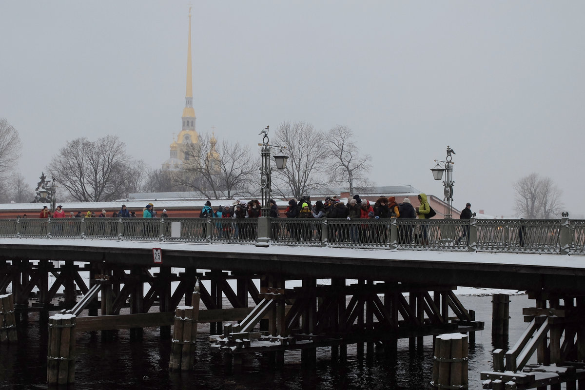 Только в Питере  кормят Зайца деньгами..)) - tipchik 