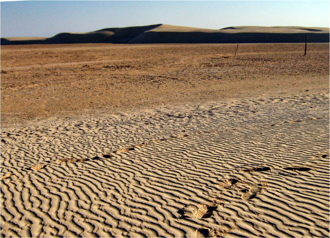 в пустыне тоже ходят люди.....Сахара - navalon M
