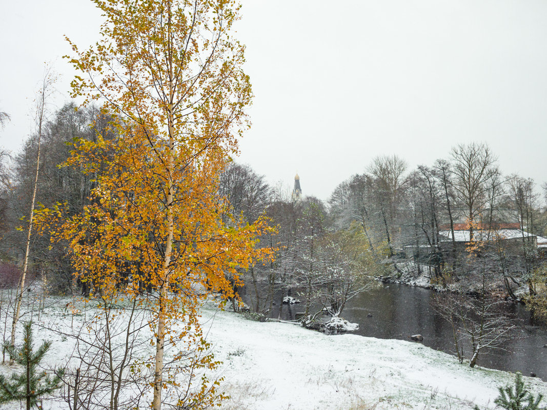 Снег в октябре 19 - Виталий 