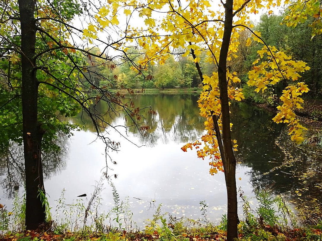 Вид на парковое озеро в конце октября - Маргарита Батырева