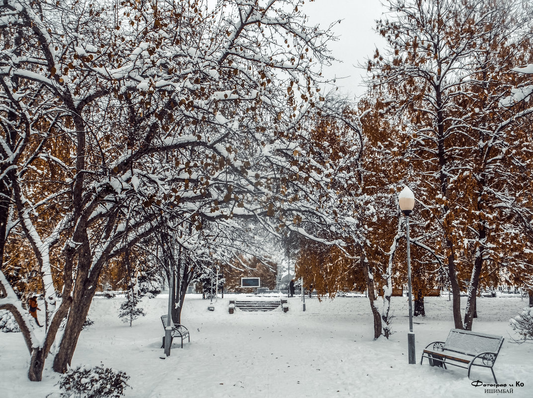 Зима в парке 2 - Вячеслав Баширов