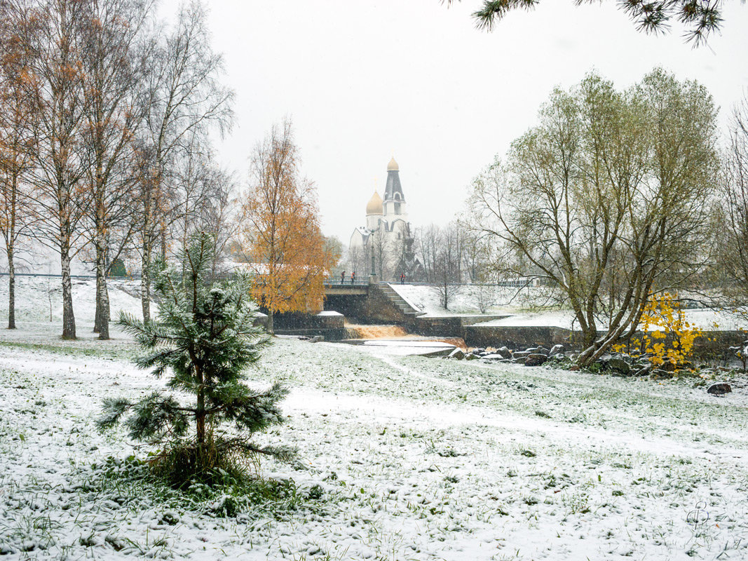Снег в октябре 24 - Виталий 