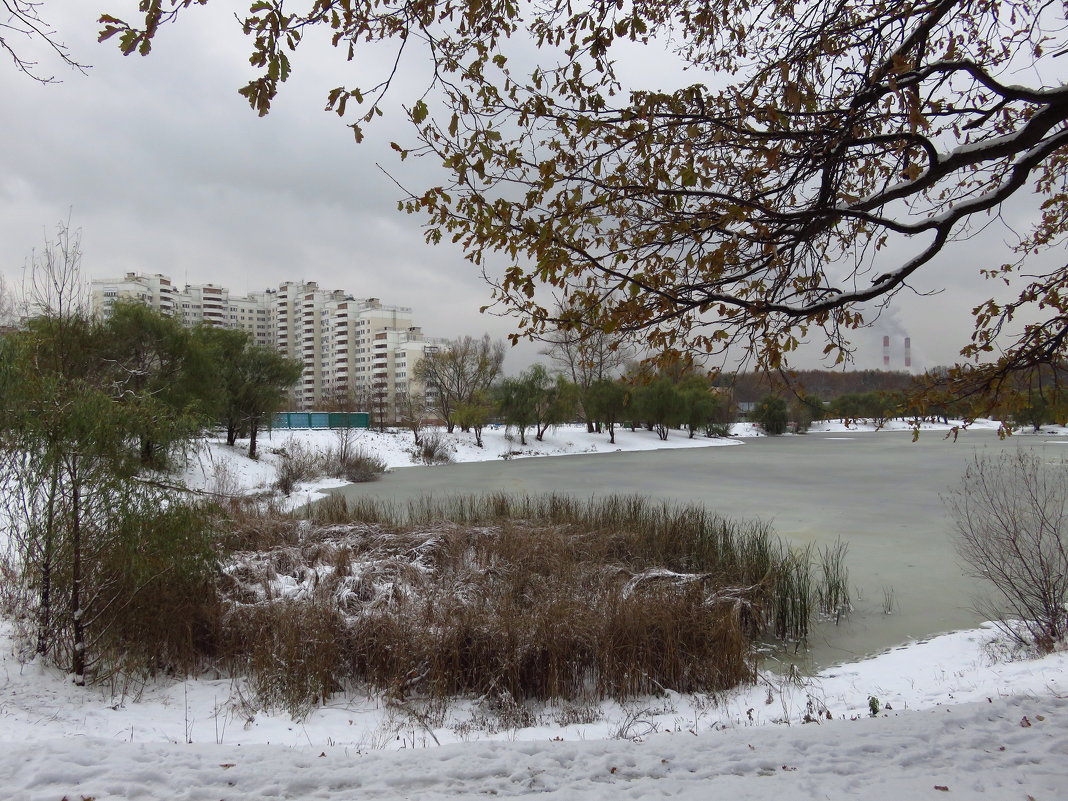 Ноябрь в Москве, больше похожий на декабрь - Андрей Лукьянов