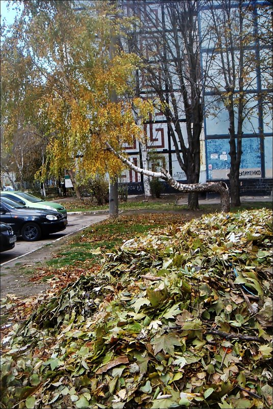 Осенний этюд с кривой берёзой - Нина Корешкова