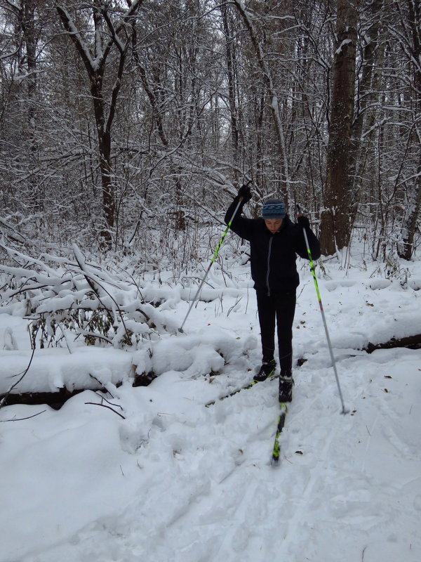 Лыжный бег с препятствиями - Андрей Лукьянов