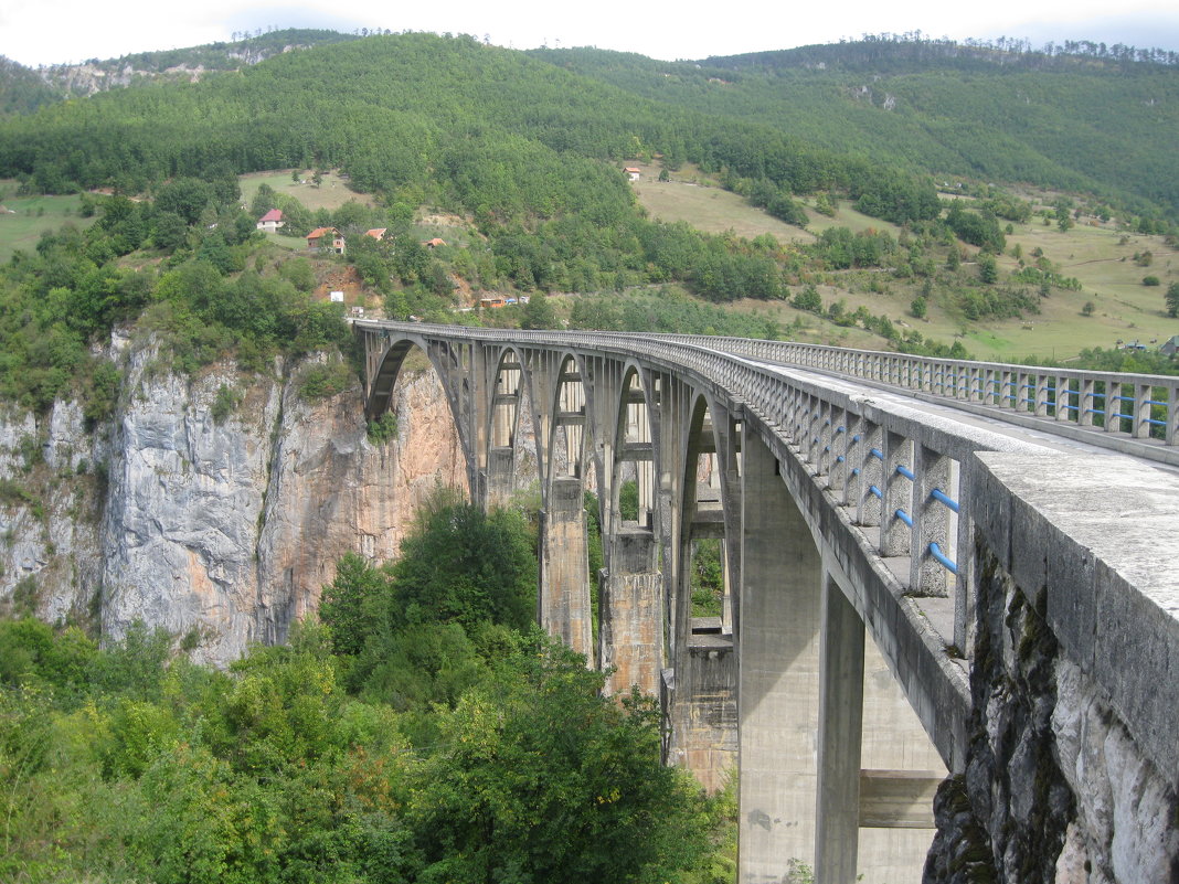 Черногория. Мост через реку Тара. - Лариса (Phinikia) Двойникова