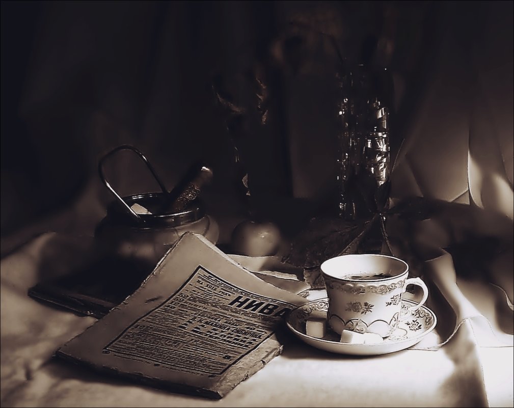 Вечернее чтение.  (по просьбе "veilins veilins"...  сделан  монохром..... ) - Валерия  Полещикова 