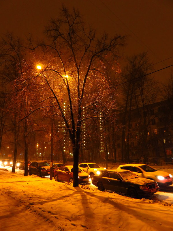Оранжевый уровень опасности снегопада в Москве - Андрей Лукьянов