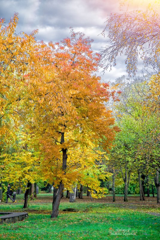 Вот и осень - Таня Харитонова