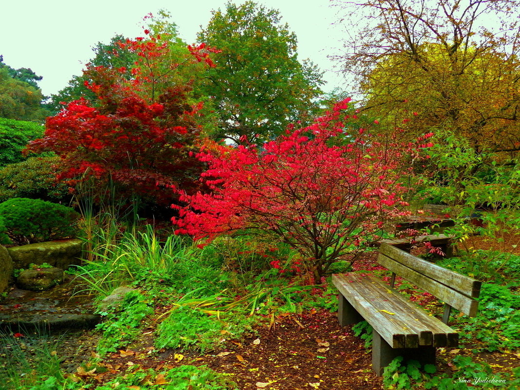 Planten un Blomen. Hamburg - Nina Yudicheva