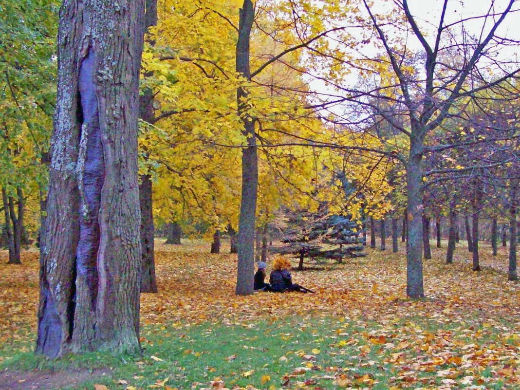 Осень в Петергофе - alemigun 
