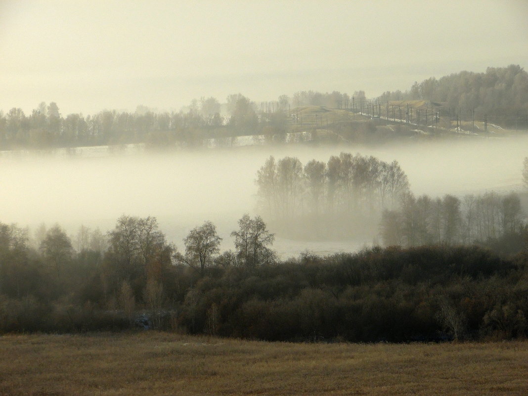Осенний туман. - nadyasilyuk Вознюк