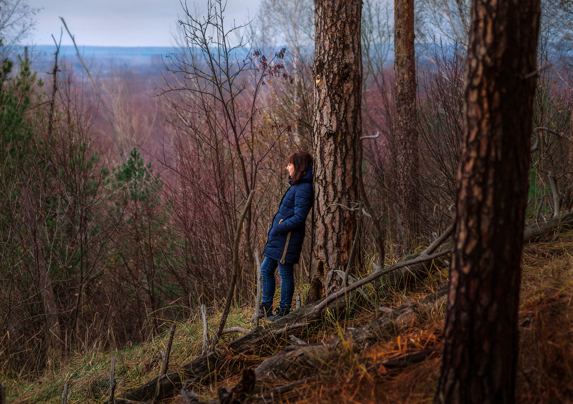 В заколдованном диком лесу - Вера Сафонова