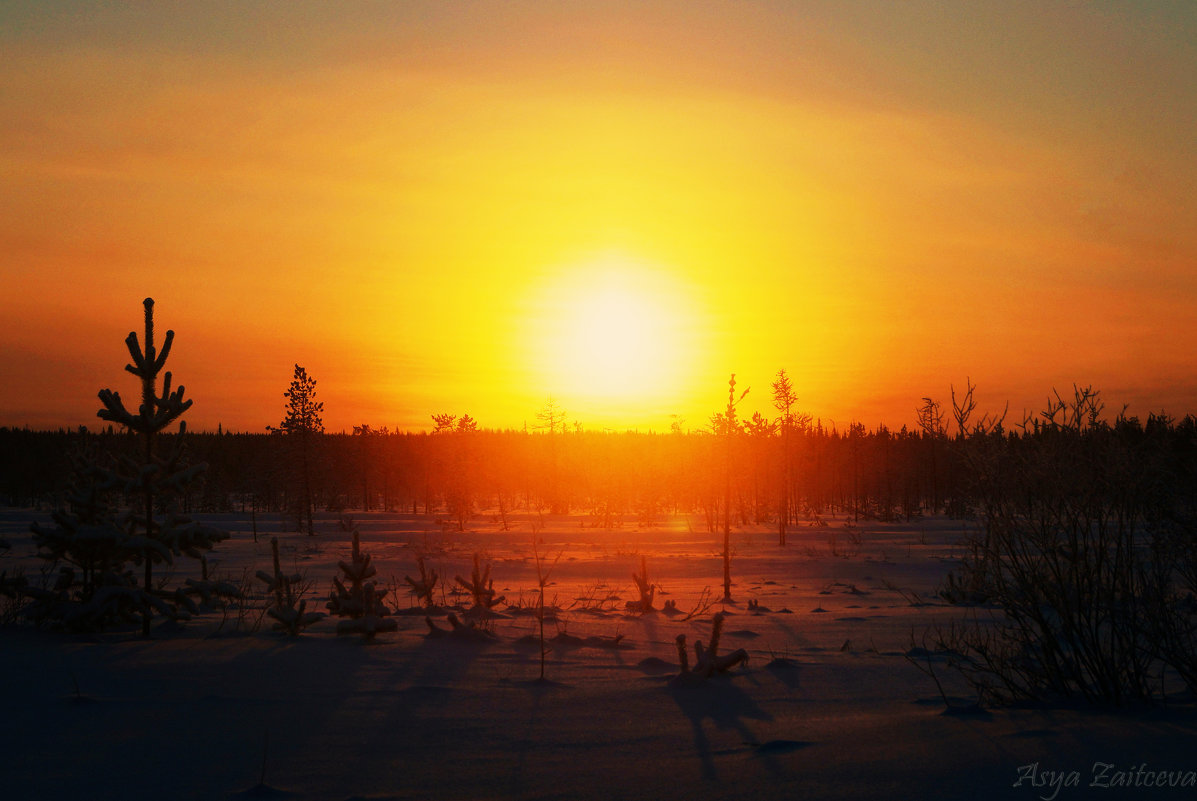Закат солнца в полдень - Ася Зайцева