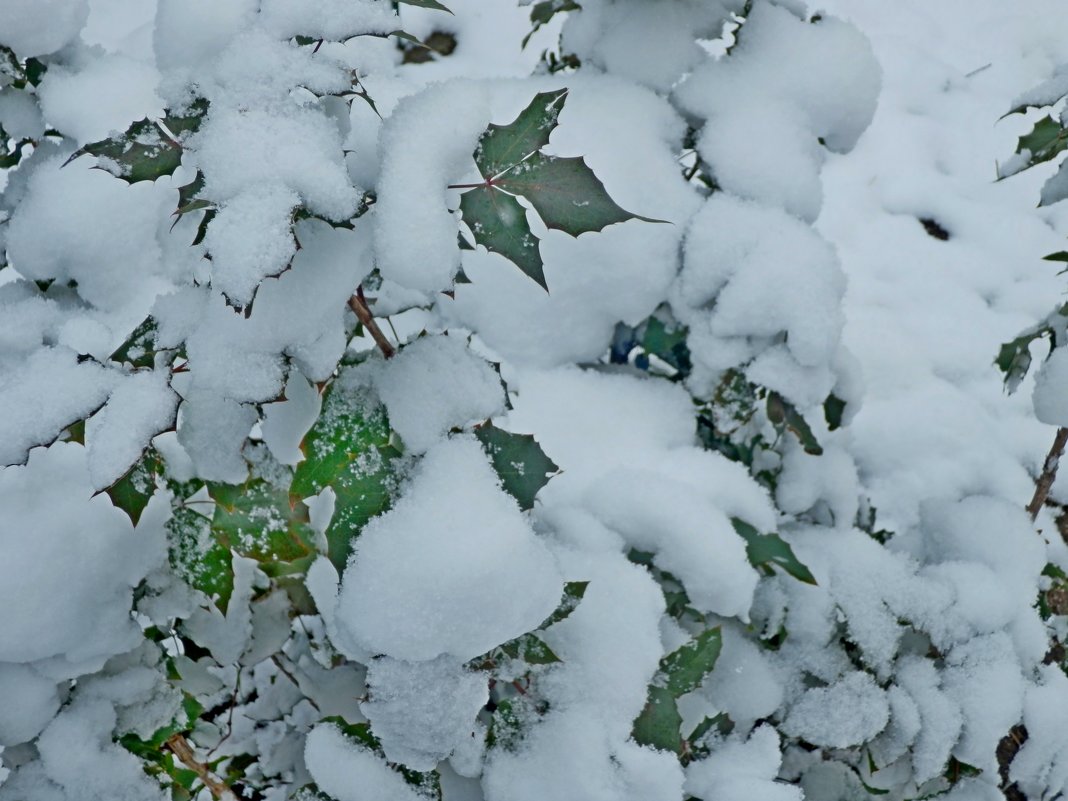 Первый снег комом - Люша 