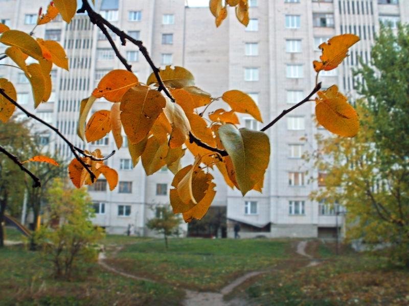 Городской этюд - Сергей Тарабара