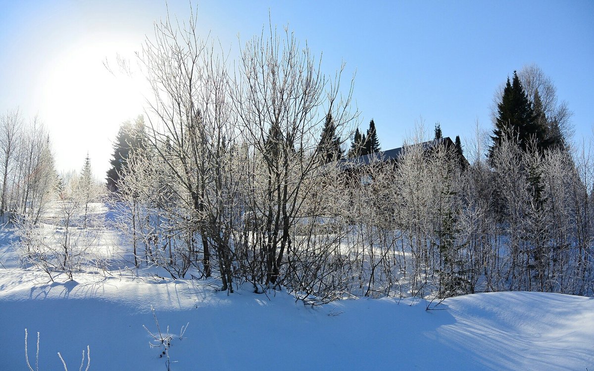 Зимний пейзаж в ноябре - Милешкин Владимир Алексеевич 