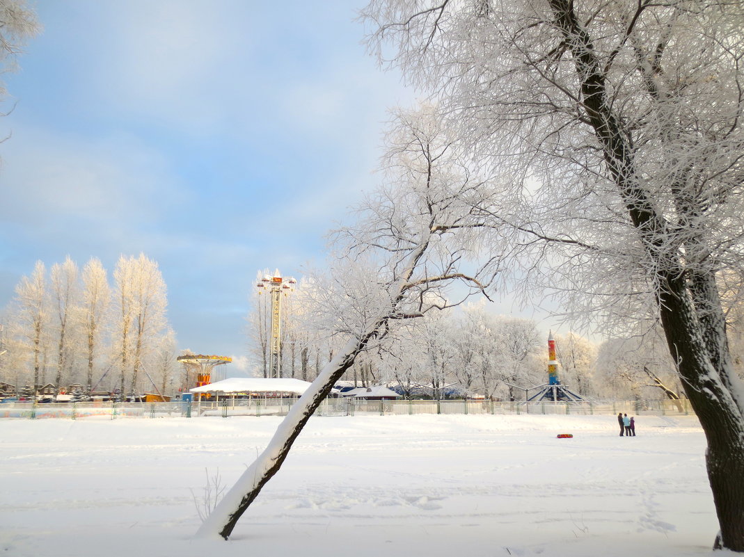 в зимнем парке - Елена 