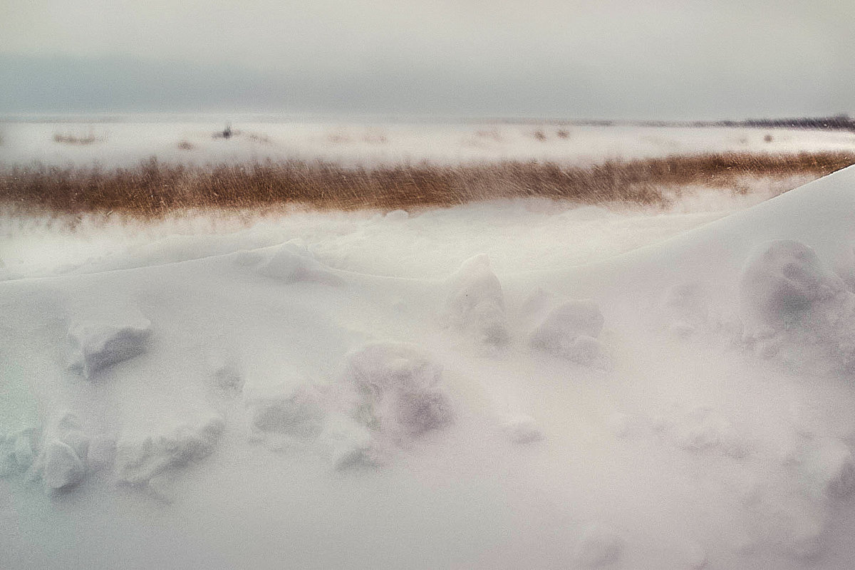 Снежок - Наталья Копылова