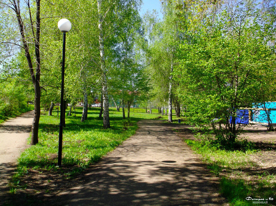 В парке - Вячеслав Баширов